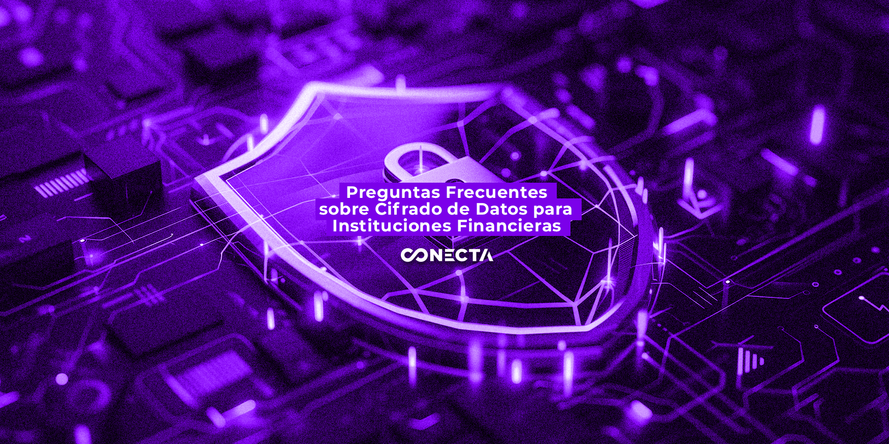 Preguntas Frecuentes sobre Cifrado de Datos para Instituciones Financieras Preguntas Frecuentes sobre Cifrado de Datos para Instituciones Financieras