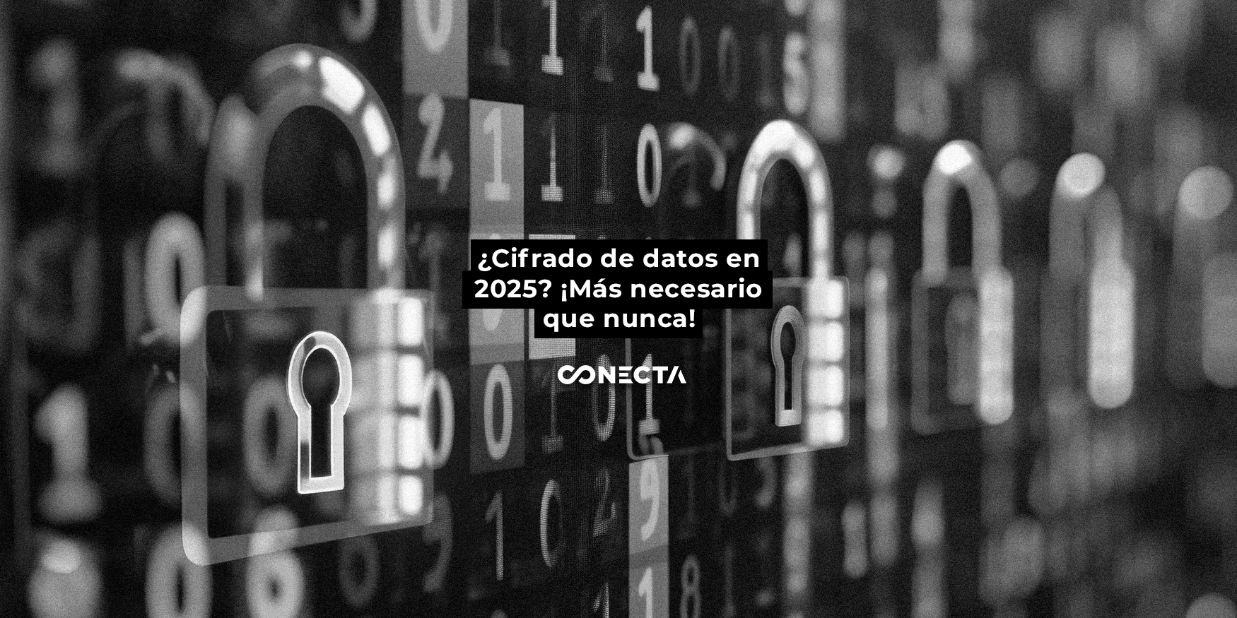 ¿Cifrado de datos en 2025? ¡Más necesario que nunca! ¿Cifrado de datos en 2025? ¡Más necesario que nunca!